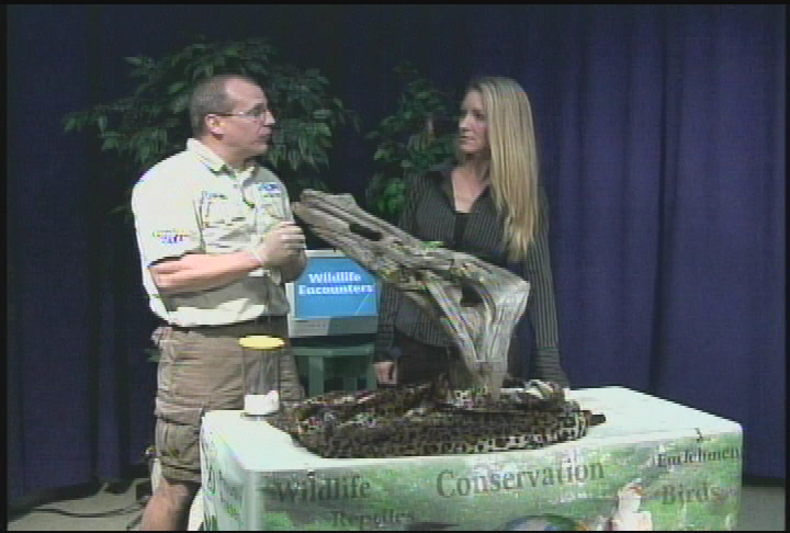 Wildlife Encounters -  2/2012
