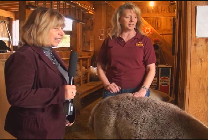 Lakes Region Spotlight - Wineries In New Hampshire