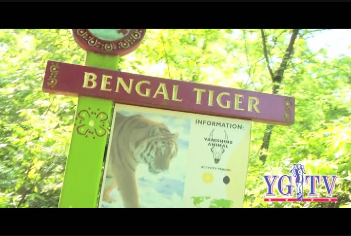 Yankee Girl TV ep1