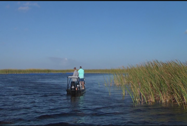 Go Fish with Dan Kenney- Okeechobee Snakehead