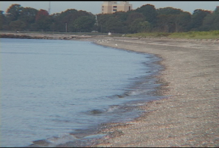 Thumbnail image for Expedition New England- Long Beach West