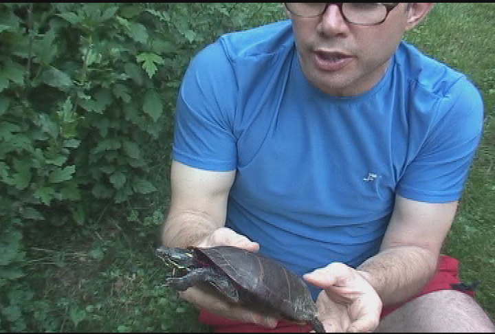 Expedition New England - -Weekapaug PointScuba and The Turtle Rescues