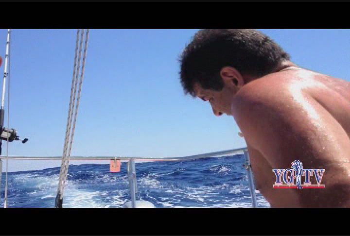 Yankee Girl TV -  Swimming with the Dolphins