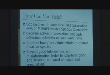 Thumbnail image for Lakes Region Invasive Aquatic Species - Milfoil