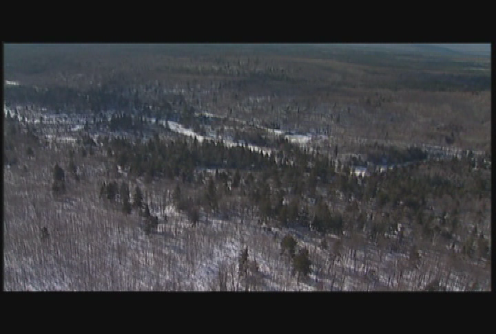 Granite State Outdoors - ep1014