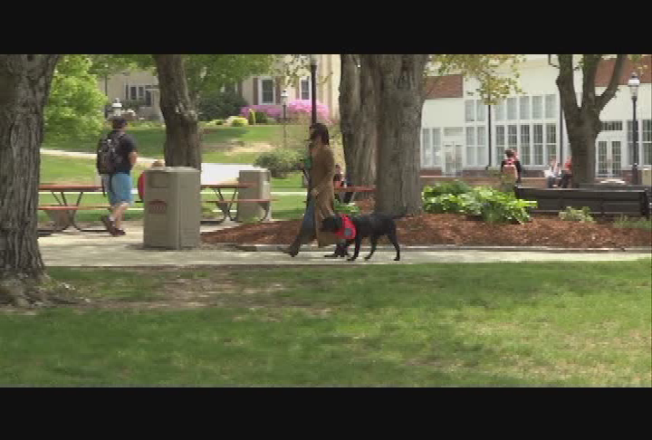 Ask Dog Lady