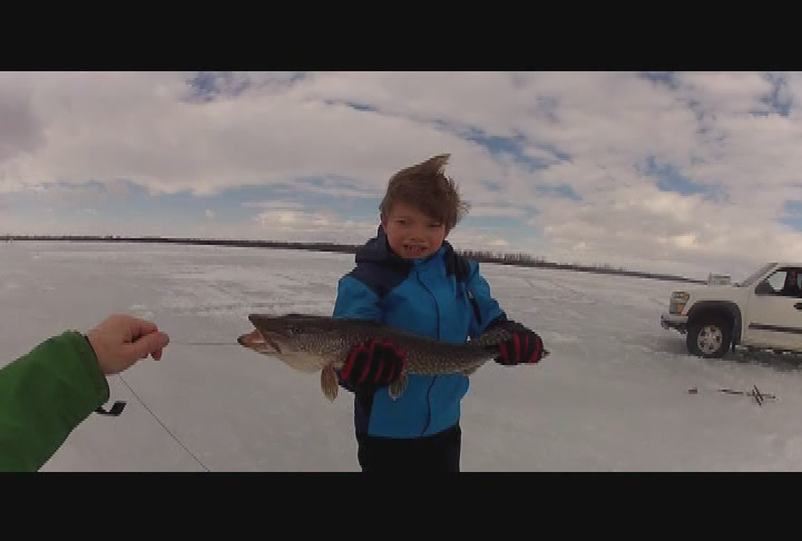 Thumbnail image for Expedition New England - Life on the Ice