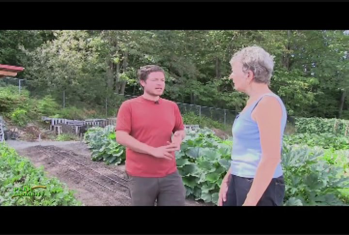 Thumbnail image for Seattle Community Farm - Growing Fresh Veggies