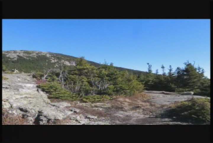 Thumbnail image for Mountain Man Adventures