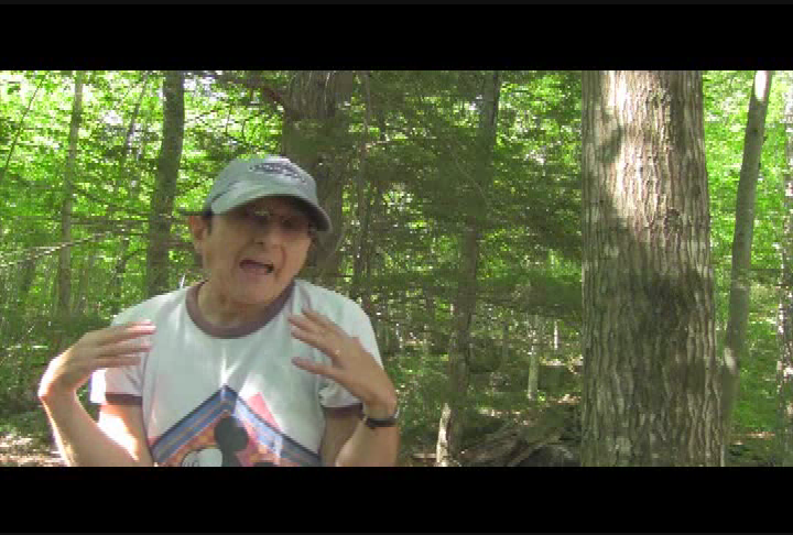 Thumbnail image for Animal Adventures Willard Pond