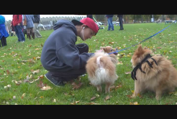 Halloween Pet Parade