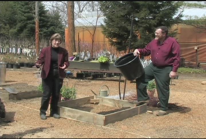 Vegetable Gardens : Raised Beds