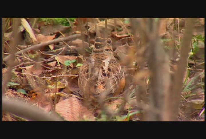 Granite State Outdoors