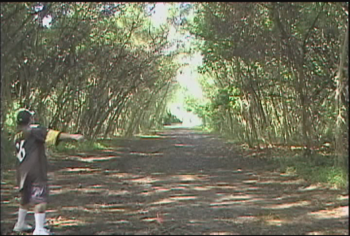 Disc Golf Live : Deja View