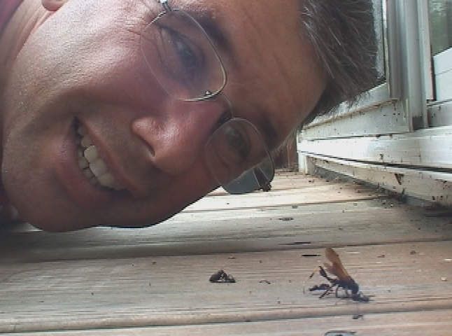 Expedition New England : On the Ground