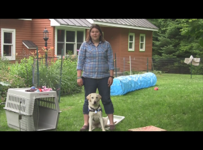 Thumbnail image for For the Animals: A Puppy Raisers Perspective Part 2