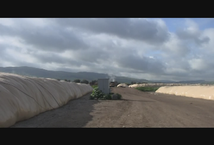 Gardening Rhythms - Visit to zBest Products Composting in Gilroy