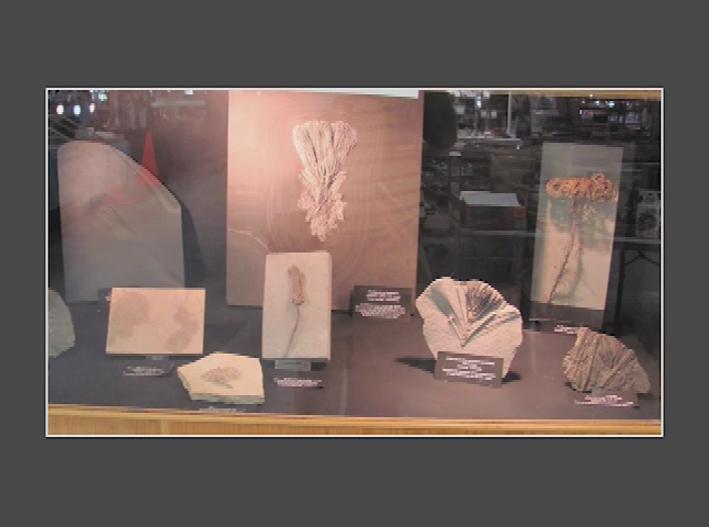 Thumbnail image for Earth Treasures from the Granite State