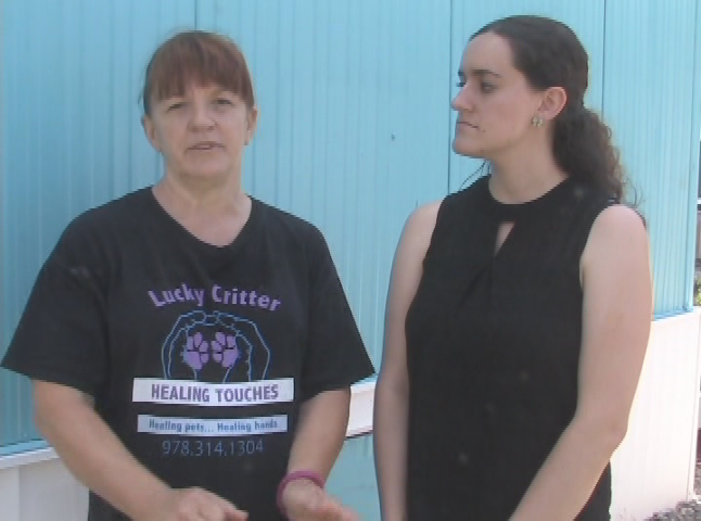 Thumbnail image for Time for Animals - Episode 2