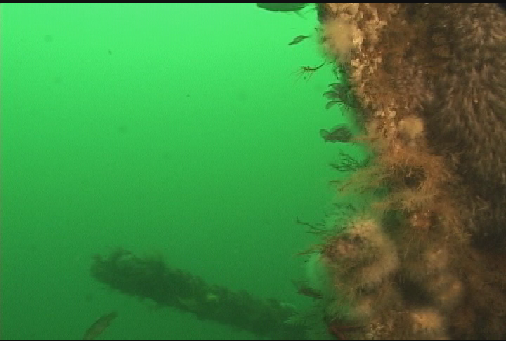 Expedition  New England - The Real Treasure