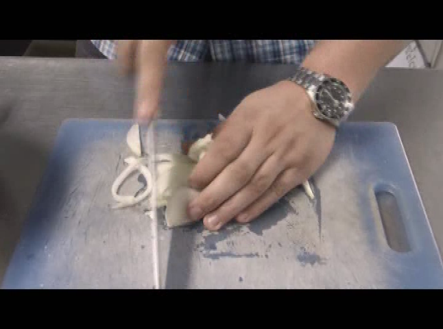 Fish Facts with Fred - Shrimp Scampi