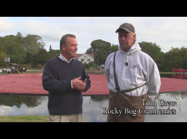 Thumbnail image for Cape Cod Senior Navigator December 2016