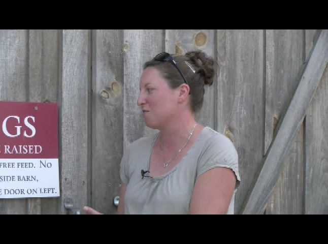 Thumbnail image for Clean Green Living - Organic Farming