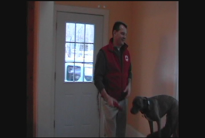 Animal House - Beluga Whale