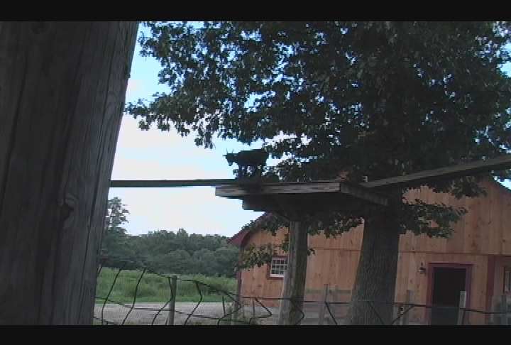 The Assembly of God -One Nation Under God- 7-4-2010