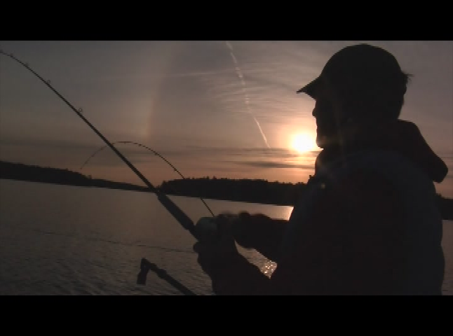 Thumbnail image for Wildside - Episode 3B18