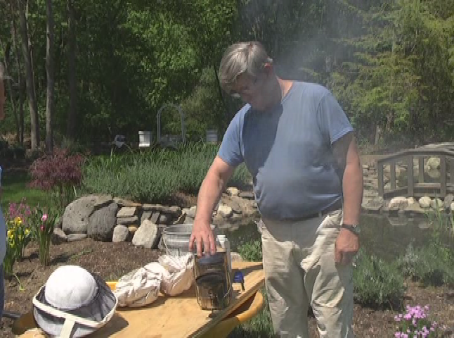 Thumbnail image for Buzz Around Bees - Episode 2