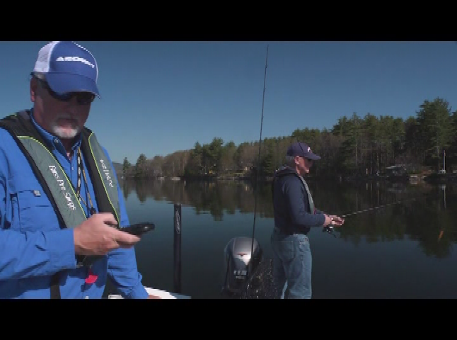 Thumbnail image for NH's WildSide - Jerk Baits