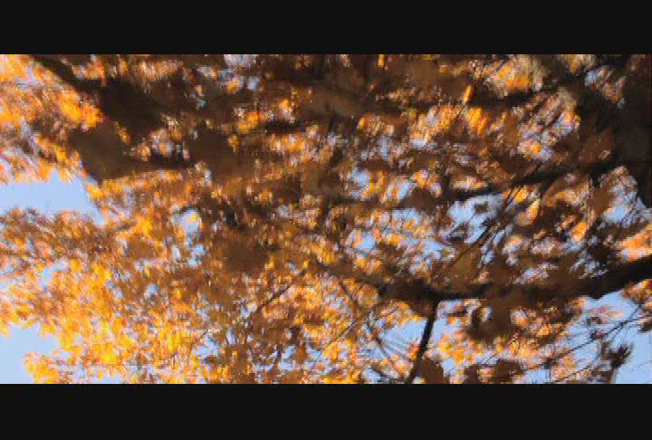 Explore - Salem Witch Hunt