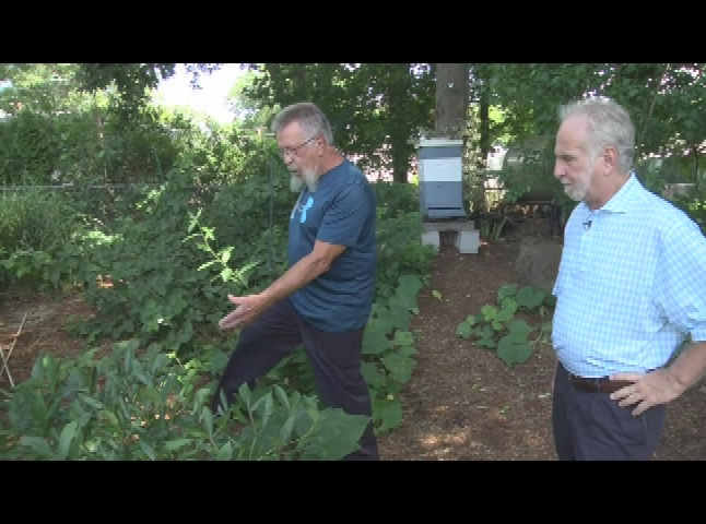 Thumbnail image for The Buzz Around Bees S2E2