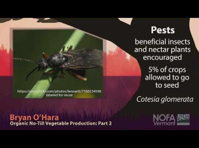 Thumbnail image for No Till Vegetable Production Part 2