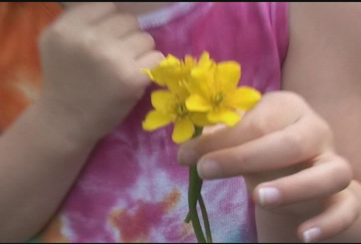 Expedition New England- Approaching Real Time