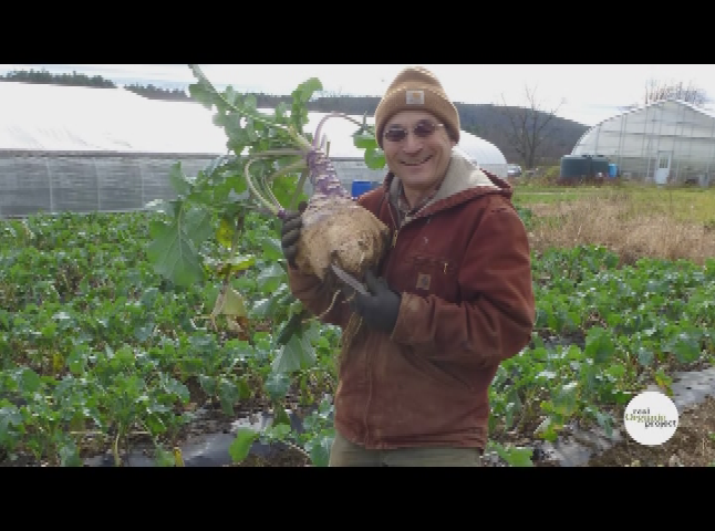 Thumbnail image for Real Organic Project - High Meadows Farm