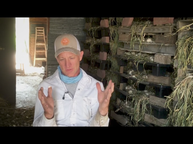 Thumbnail image for Real Organic Project - Hobbs and Meyer Farms