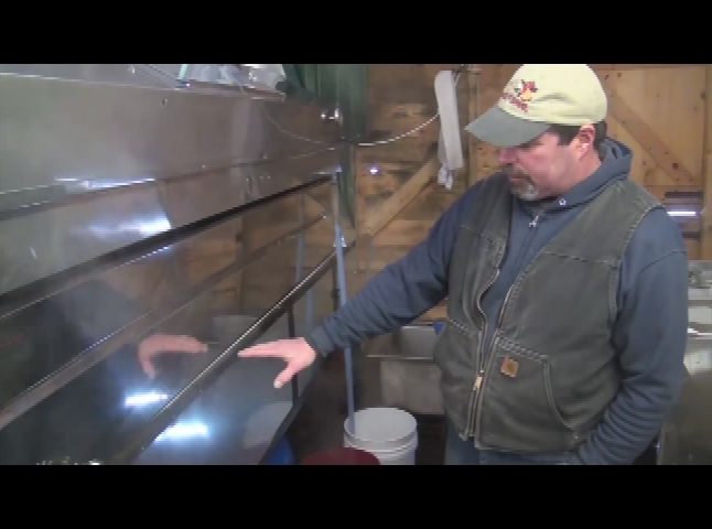 Thumbnail image for The Focus - Spike's Sugar Shack