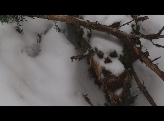 Mountain Man Adventures - Episode 42