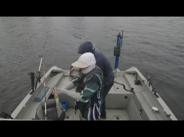 Vermont Master Angler - River Walleye June 24th