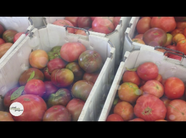 Thumbnail image for The Real Organic Project - Ela Family Farms Colorado