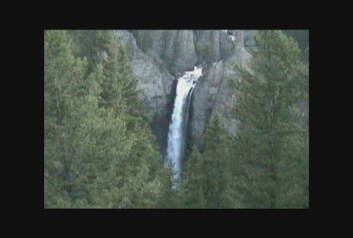 The Reading Lady - Little Ty Cooney and the Big Yellowstone Mystery