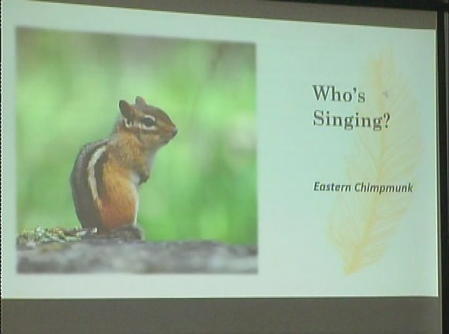 Osher - Bird Song Tune Up