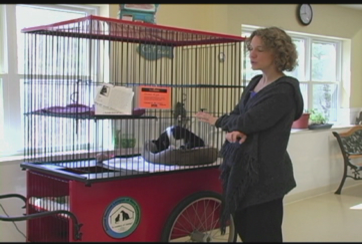 Thumbnail image for For Pet's Sake