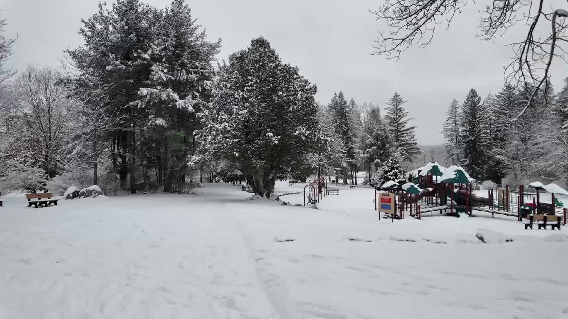 Thumbnail image for Benson Park Winter Walk 2026