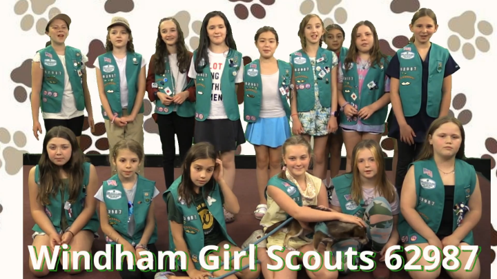 Thumbnail image for Windham Girl Scouts Troop 62987 - Live Free Animal Rescue