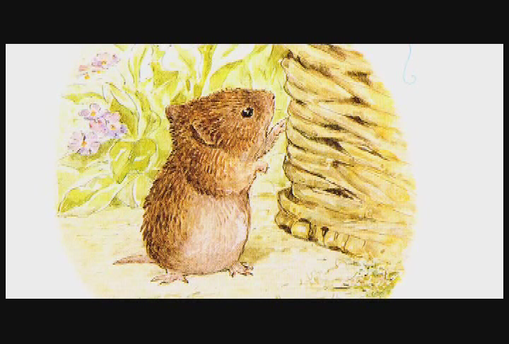 Political Chowder 04-21-08