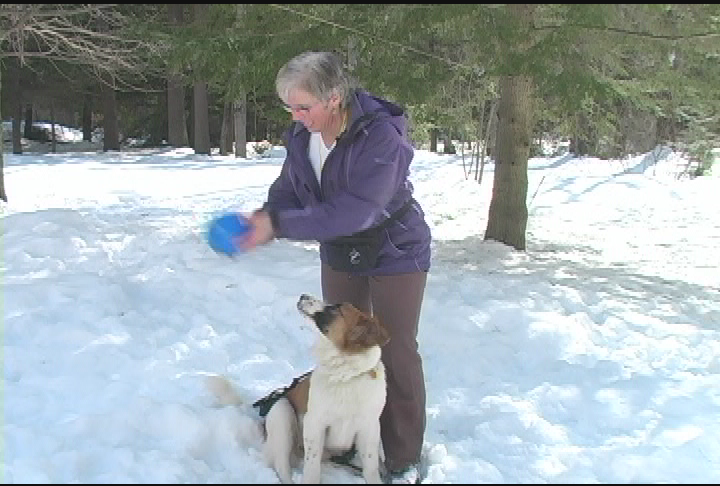 Doggy Dilemmas- ep133 Recalls