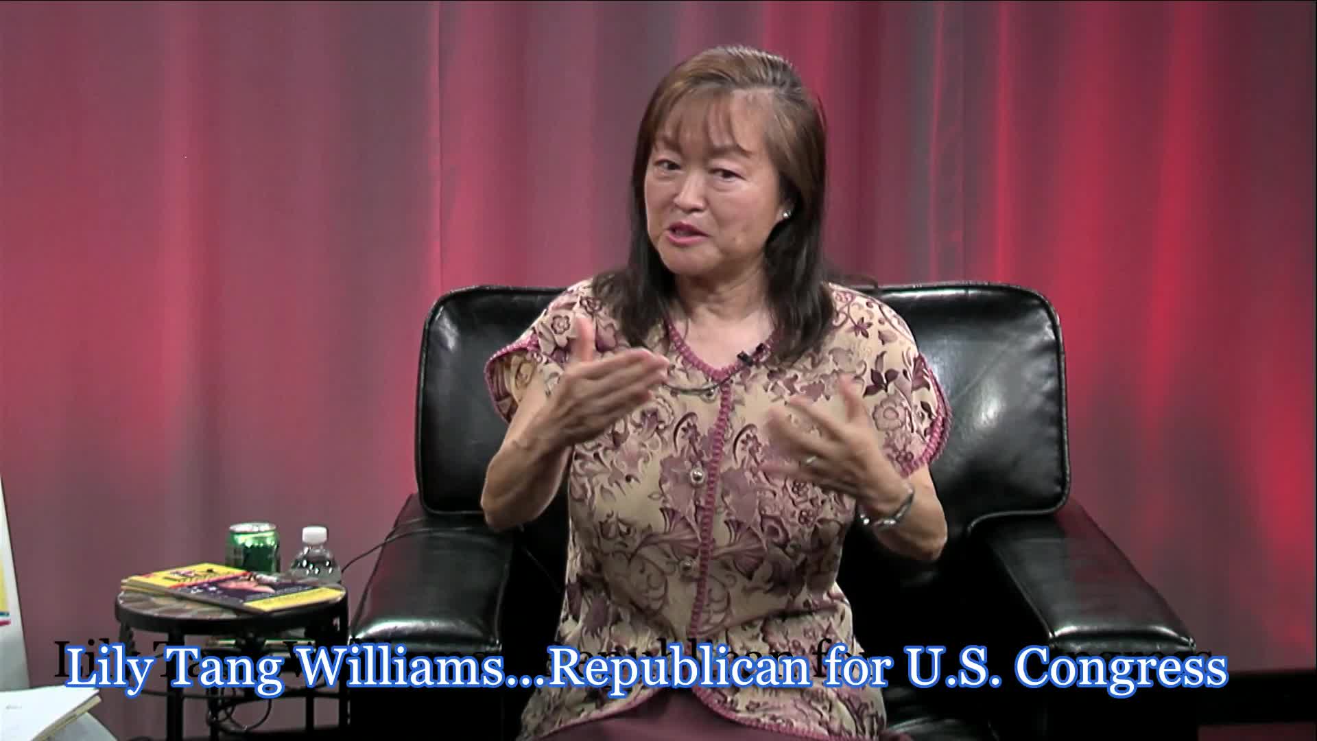 Navigate to Peter's Corner - Lily Tang Williams Republican for U.S. Congress on Domestic Issues